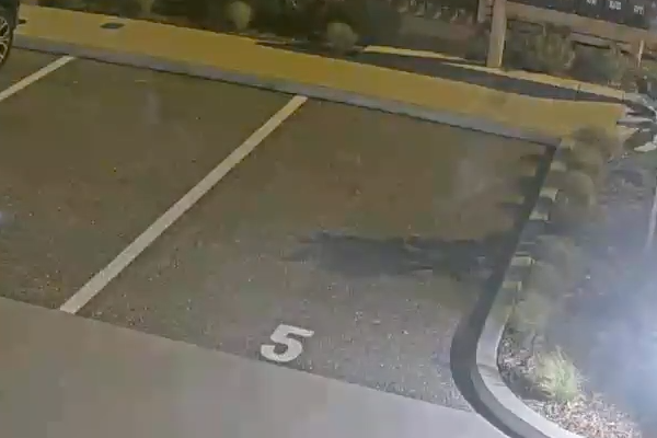 Surface Lot A - North